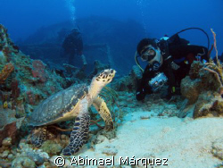 Evelio, Eduardo and the turtle, Grain Barge, St. Thomas. by Abimael Márquez 